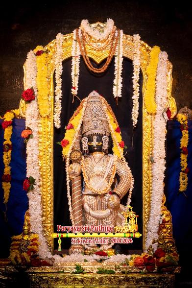 Idol of Hindu deity Krishna in a diamond-studded cladding, matching crown, holding a siilarly-clad staff in right hand. Strings of yellow flowers around the crown.

A gold arch around Krishna. A long U-shaped white flower garland from the left top of the arch flowing all the way down to the floor and up to the right top of the arch

Blue cloth background.