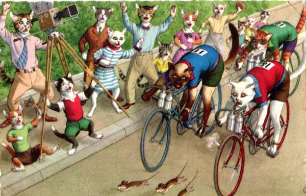 postcard drawing of cats bicycle race chasing mice
