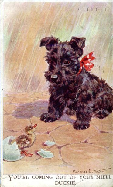 Dog watching a duckling hatch says "You're coming out of your shell duckie"