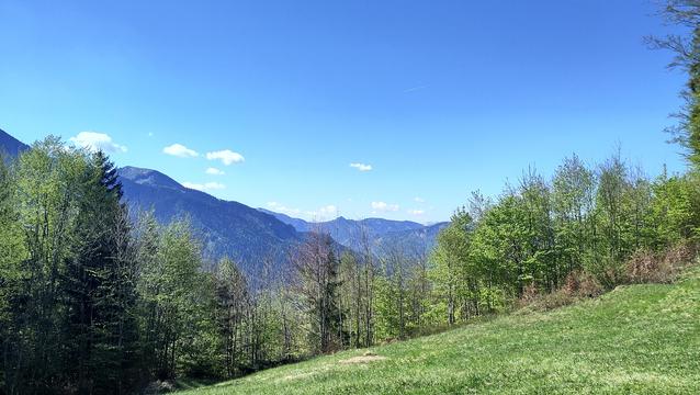 View over mountains and trees