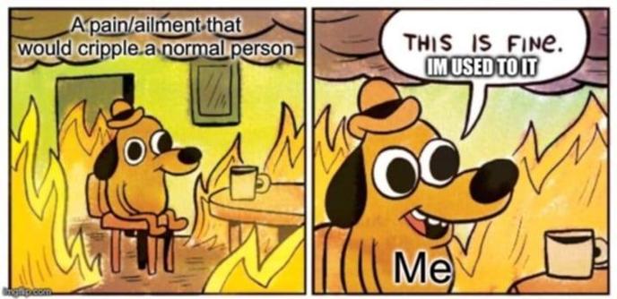 1st panel
dog in the fire meme - a pain/ailment that would cripped a normal person
2nd panel - closeup of dog (me) 'this is fine. I'm used to it. 