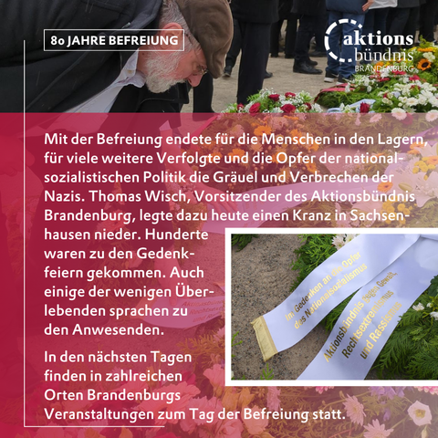Mit der Befreiung endete für die Menschen in den Lagern, für viele weitere Verfolgte und die Opfer der nationalsozialistischen Politik die Gräuel und Verbrechen der Nazis. 

Thomas Wisch, Vorsitzender des Aktionsbündnis Brandenburg, legte dazu heute einen Kranz in Sachsen- hausen nieder. Hunderte waren zu den Gedenkfeiern gekommen. Auch einige der wenigen Überlebenden sprachen zu den Anwesenden. 

In den nächsten Tagen finden in zahlreichen Orten Brandenburgs Veranstaltungen zum Tag der Befreiung statt.

Daneben ein Foto mit den Inschriften vom Kranz: In Gedenken an die Opfer des Nationalsozialismus. Aktionsbündnis  gegen Gewalt, Rechtsextremismus und Rassismus.