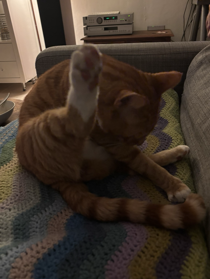 Close-up photo of a ginger and white cat on a colorful striped blanket with a stereo in the background. His hind leg is in the air for grooming purposes and his head is looking down.