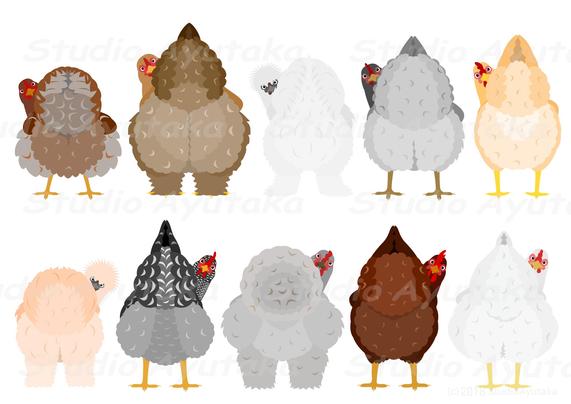funny chickens cartoon looking back over its shoulder.