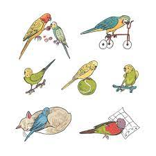 birds making fun
