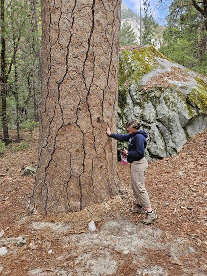 Me, touching the bark on a tree to feel nature.