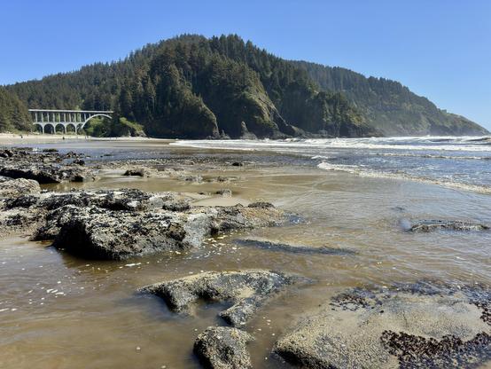 A scenic beach view featuring rocky foreground, gentle waves, and a distant bridge spanning over a lush, tree-covered hill under a clear blue sky.