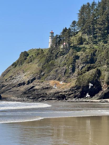 A lighthouse stands on a rocky cliff surrounded by trees, with a clear blue sky above. Waves gently lap at the sandy beach below, where seagulls can be seen flying. People are also visible along the shoreline.