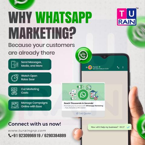 WhatsApp Business API Provider