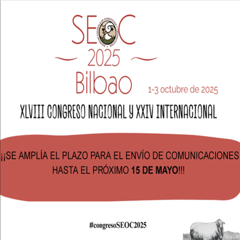 https://seoc.eu/es/proximo-congreso/