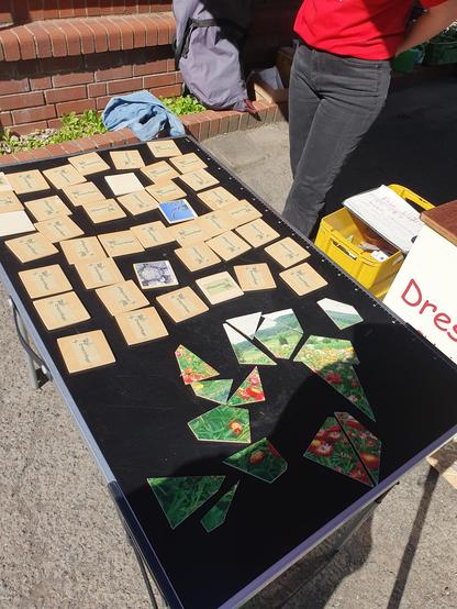 Sortenmemorie und ein Puzzel