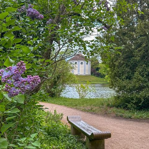 Frühling im Wörlitzer Park