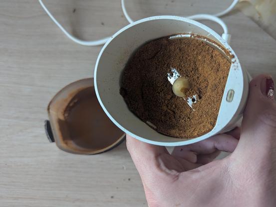 Kimchi wird in einer Kaffeemühle gemahlen.