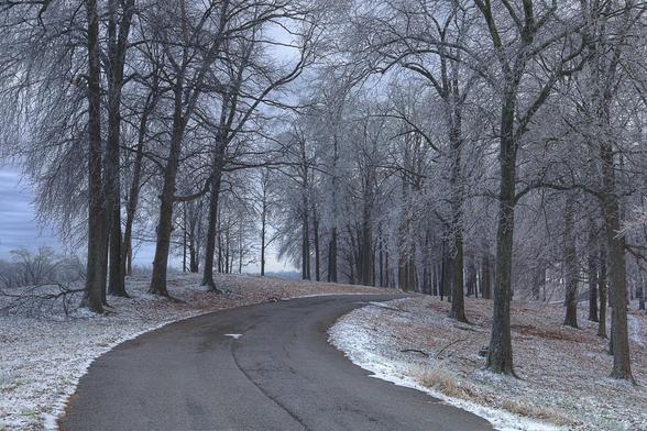 A winding road meanders through a serene winter landscape, with trees dusted in frost lining both sides.