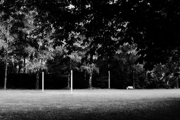 Black and white photo of a field in a park with white flowers and a white bench in the bottom right area