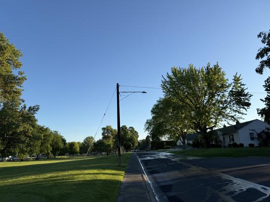 A city street beside a park and houses