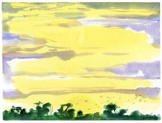 An evening landscape painted in aquarelle and ecoline. There are trees in a dark green silhouette painted on the bottom of the page. Surrounded by flying birds. Most of the page is taken up by the sky. It is bright, golden yellow, with lilac and blueish hues mixed though it.  