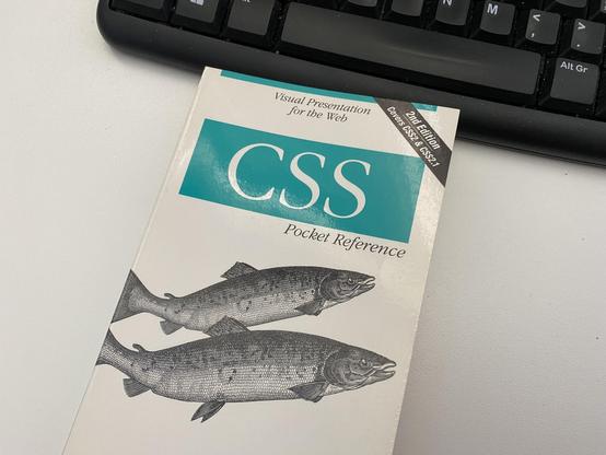 Small book on CSS:
Visual Presentation for the Web
2nd Edition
Covers GSS2 & CSS2.
Pocket Reference