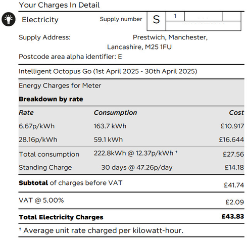 Our Octopus energy bill, shows costs for electricity and standing charge etc