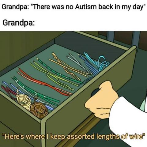 Grandpa: There was no Autism back in my day.

Also Grandpa: Here's where I keep assorted lengths of wire.