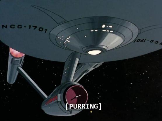 Star Trek The Animated Series scene. A beautiful cartoon version of the Enterprise NCC-1701 is shown floating in space. Closed caption reads: [PURRING]
