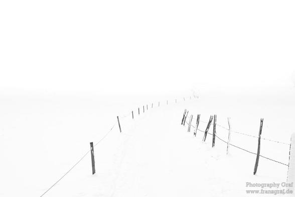 A serene winter scene captured in black and white, showcasing a fence surrounded by freshly fallen snow. The image features a peaceful landscape with a foggy background, creating a sense of tranquility and calmness. The dominant colors are white, with a subtle accent color of dark gray. The overall mood of the picture is tranquil and serene, with a hint of mystery due to the foggy atmosphere. This monochromatic sketch-like image evokes a feeling of solitude and introspection, perfect for those seeking a moment of quiet contemplation in the midst of winter.