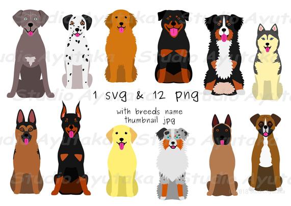 a bundle of clipart of various large dogs sitting.