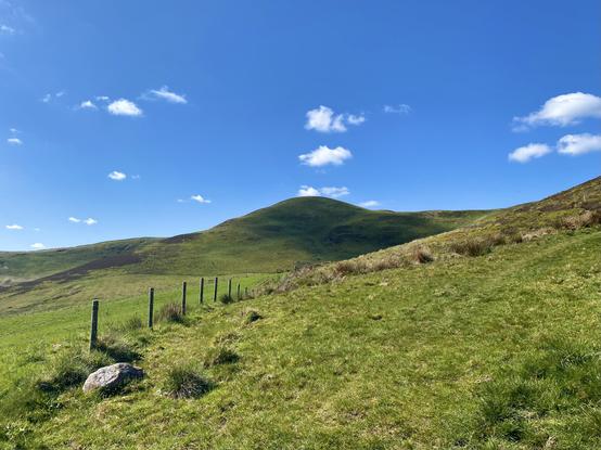 Otherworldly hillside with a cattle fence