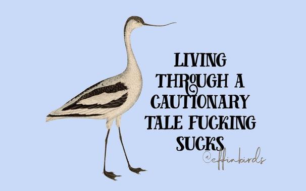 A painting of a bird beside the text "living through a cautionary tale fucking sucks"