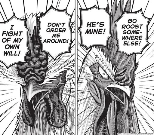 Rooster Fighter: Anticipating the Next Intense Battle