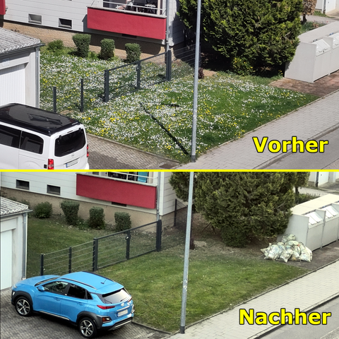 Bild von Rasen mit Blumen vor dem Mähen und danach ohne einer einzigen Blüte 