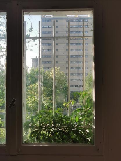Une fenêtre avec de la végétation et en fond l'un des immeubles emblématiquesbdu quartier Haut-du-Lièvre à Nancy