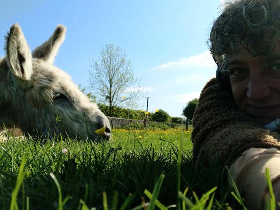 Gourmand toujours allongé qui allonge sa tête sur le sol. Moi qui le regarde en souriant.