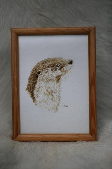Schilderij van een otter (portret) gemaakt met plantaardige inkt.