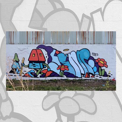 A graffiti piece by LSNR. A grumpy little house is walking away, with LSNR letters and some flowers.