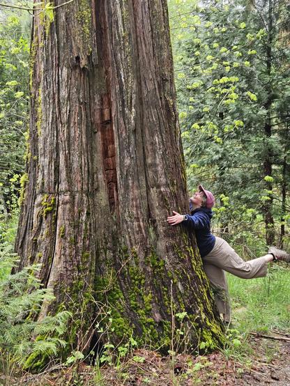 Me, hugging a giant tree. I am looking up smiling, with one leg up in the air.