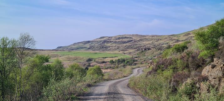 A curving rough track cuts a path through rocks and some young trees. A stepped hill rises in the distance.