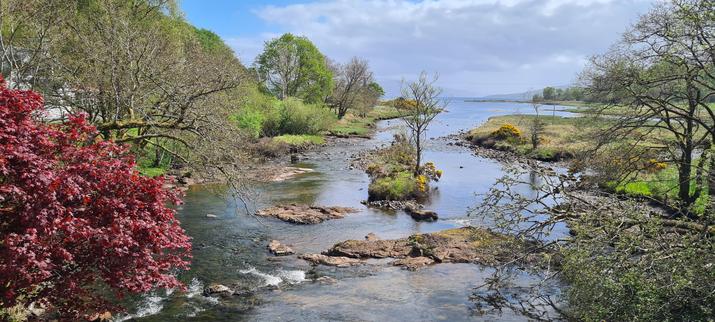 The mouth of a shallow river as it reaches the sea. The water is so clear that you can see the bottom, even from a distance, and the rocky islands in the water, and the banks, are covered in spring-time trees.