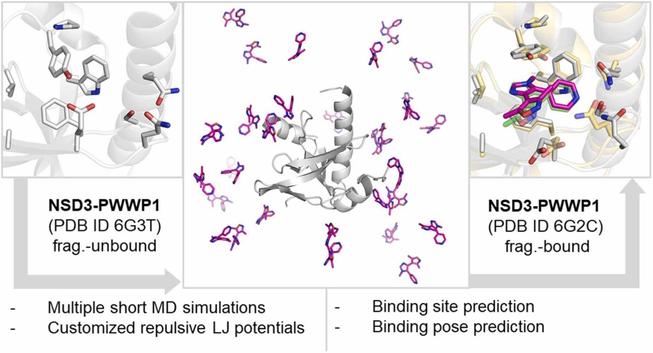 Predicting fragment binding modes using customized Lennard-Jones potentials in short molecular dynamics simulations. Computational and Structural Biotechnology Journal, DOI: https://doi.org/10.1016/j.csbj.2024.12.017