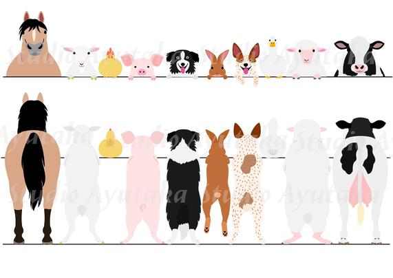 a clipart set of farm animals peeking from 2 views, from front and from behind.