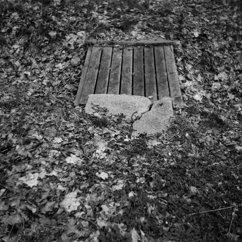 A small wooden walking bridge over a creek that only exists in the warmer months. It's currently dry and covered in leaves from last year's fall.