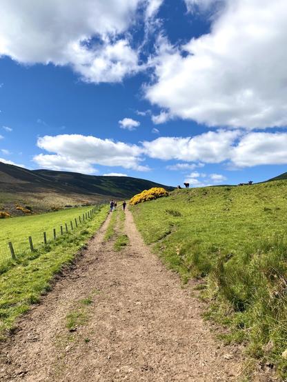 Hikers on a tractor trail, a darkly shaded hill, a green hill with cows at the top, blue sky, clouds