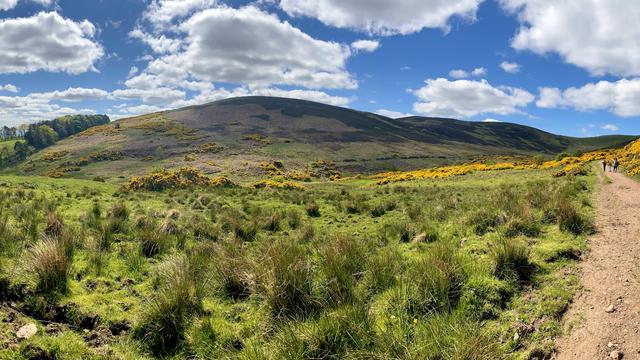 Marbled hills under a blue sky with fluffy clouds, hikers on a trail, a line of blooming gorse