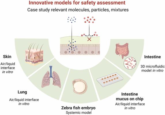 Safe and sustainable by design of next generation chemicals and materials: SSbD4CheM project innovations in the textiles, cosmetic and automotive sectors. Computational and Structural Biotechnology Journal, DOI: https://doi.org/10.1016/j.csbj.2025.03.022