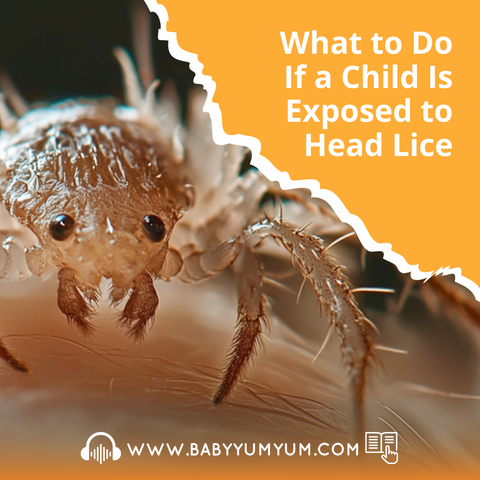 That dreaded school message: “There’s been a lice outbreak.” 😩🪮 It’s never fun — but it doesn’t have to be a full-on panic either.  Whether your child has lice or was just exposed, knowing what to do immediately can stop the spread and ease the stress. This simple guide walks you through what to check, how to treat, and ways to protect the rest of the family.