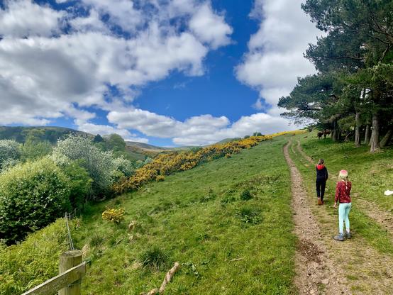 My kids hiking the start of a trail up through the Pentland Hills. There is a lush glen below with spring blossoms and blooming gorse. The sky is blue with fluffy clouds.