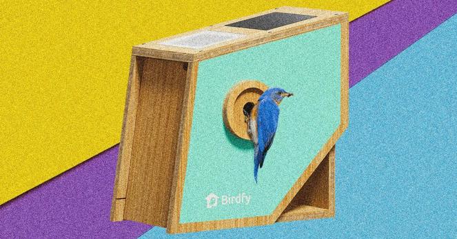 Birdfy Nest Smart Birdhouse: Capture Amazing Backyard Bird Photos.