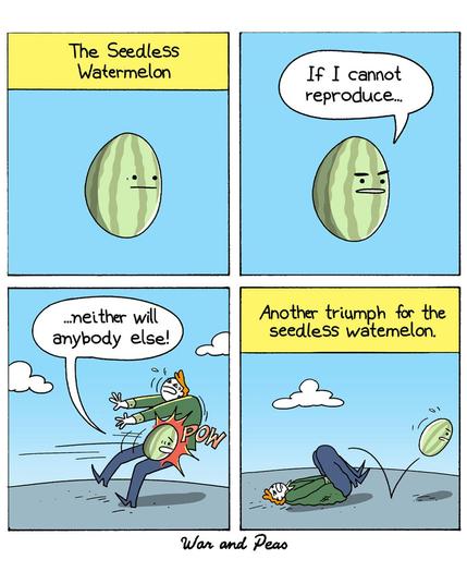 4-panel comic by War and Peas. Panel 1: A watermelon with a stern face floats in the middle of a blue background. The caption reads: "The Seedless Watermelon." Panel 2: The watermelon now has a serious expression and says, "If I cannot reproduce..." Panel 3: The watermelon launches itself groin-first at a human, shouting, "...neither will anybody else!" The person screams in pain as the watermelon hits them with a loud "POW" in the crotch. Panel 4: The watermelon bounces away victoriously as the person curls up on the ground. The caption above reads: "Another triumph for the seedless watermelon."