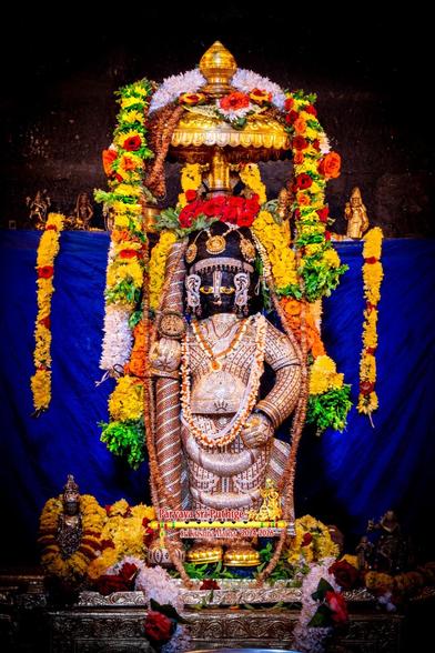 Idol of Hindu deity Krishna in diamond-studded cladding, holding a similarly-clad staff in right hand. Gold shoes. Small gold umbrella overhead. Garlands with yellow, red, and orange flowers along with green holy basil leaves. One garland hanging down from both sides of the umbrella. Another hanging down on either side of Krishna from the top of his head and over his shoulders. Blue cloth background with a yellow-red flower garland at both ends of the background.