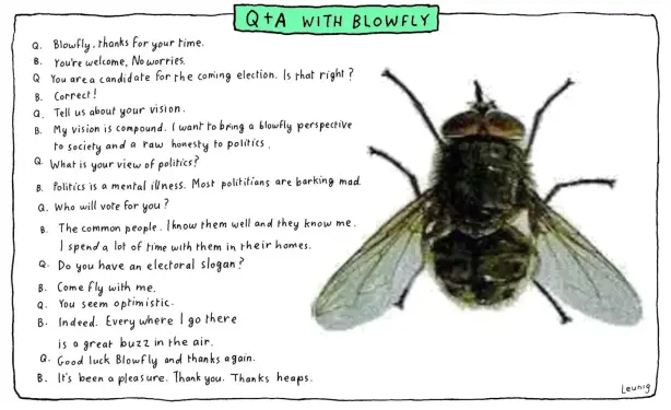 Q. Blowfly, thanks for your time. 

B. You're welcome, No worries.

Q You are a candidate for the coming election. Is that right?

B. Correct!

Q. Tell us about your vision. 

B. My vision is compound. I want to bring a blowfly perspective
to society and a raw honesty to politics.

Q. What is your view of politics?

B. Politics is a mental illness. Most politicians are barking mad.

Q. Who will vote for you?

6. The common people. I know them well and they know me. 
I spend a lot of time with them in their homes. 

Q. Do you have an electoral slogan? 

B. Come fly with me.

Q. You seem optimistic.

B. Indeed. Everywhere I go there's a great buzz in the air.

Q: Good luck Blowfly and thanks again.
B. It's been a pleasure. Thank you. Thanks heaps.

Leunig